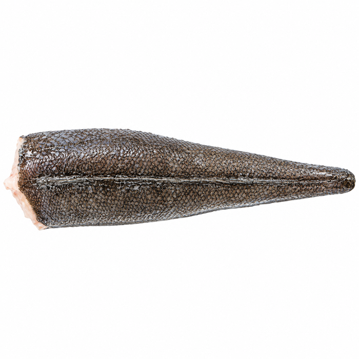 Frozen Dispesa Hake Merluza (5/800) 1kg- Only Berlin Delivery