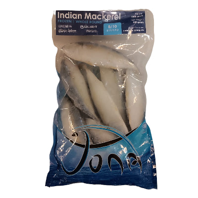 Frozen Jona Indian Mackerel (8/10) 1kg - Only Berlin Delivery