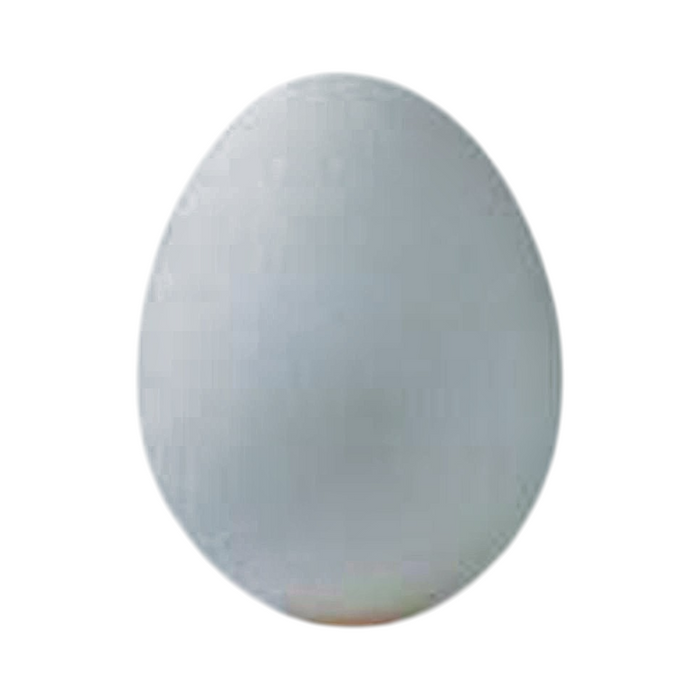Fresh Farm Eggs (Eier) - 1pc (BBE: 31.10.2025)