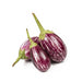 Fresh Round Aubergine (baingan) 1kg